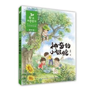 《神奇的小银蛇》第55页— —第115页