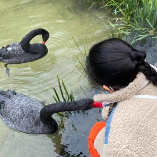 运城市大运小学强一一读《资治通鉴》