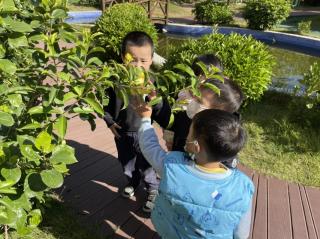 蓓蕾睡前故事站第167期《小兔子过新年》