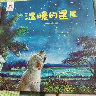 温暖的星星