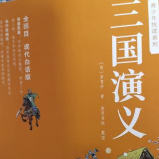 昊霖讲三国——第十回上