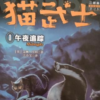 《猫武士》二部曲，第二十四章