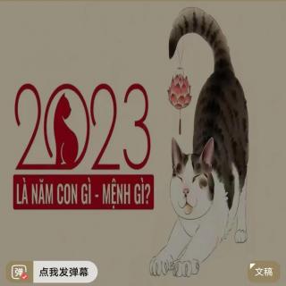 2023年是兔年也是“猫年”是这样传来的你信吗