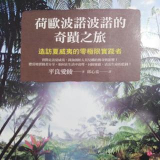 《荷欧波诺波诺的奇迹之旅------造访夏威夷的零极限实践者》7