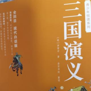 昊霖讲三国——第十回下