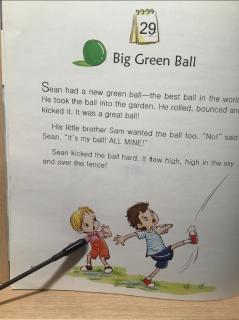 1-29 Big Green Ball