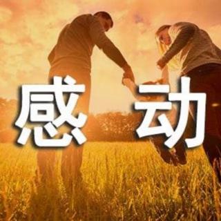 感动是一种能力/毕淑敏