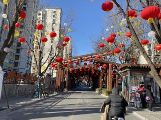 回家，过年！  作者 任学路