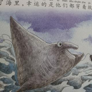 海蝙蝠