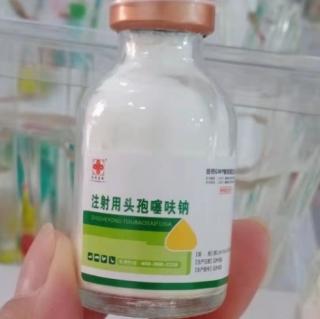 广谱抗菌药——头孢噻呋呐