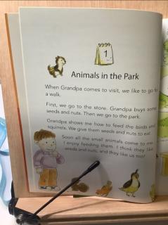 2-1 Animals in the Park