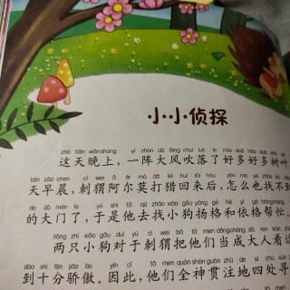 纺机幼儿园大二班常梓轩《小小侦探》