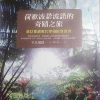 《荷欧波诺波诺的奇迹之旅》12