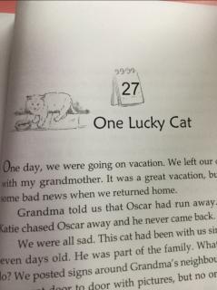 27 One lucky cat