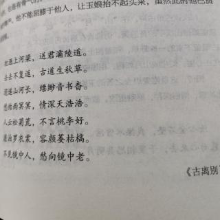 古离别  张玉娘 把酒上河梁