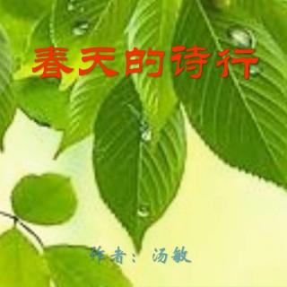 《春天的诗行》作者：汤敏 诵读：大连伙计