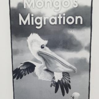 Mongo's Migration