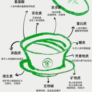 周轶说茶：等待是一种茶性