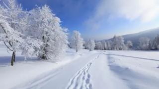 【汉俳诗组】陆道夫教授 ‖《大雪》 朗诵:苡子