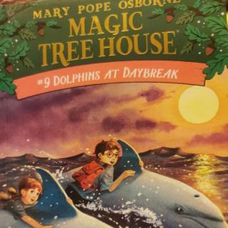 MAGIC TREE HOUSE Dolphins at daybreak5