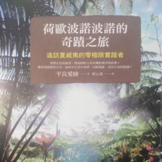 《荷欧波诺波诺的奇迹之旅》14