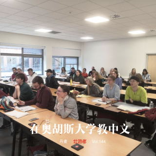 144 |丹麦| 在奥胡斯大学教中文 - 发音、啤酒、詹代法则和关于狗肉的课堂讨