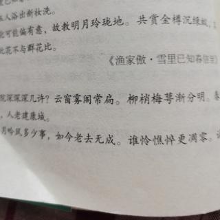 临江仙   庭院深深深几许 李清照