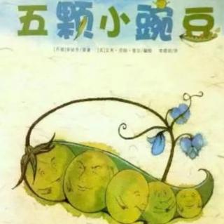 五颗小豌豆—经典绘本