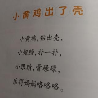 小黄鸡出了壳