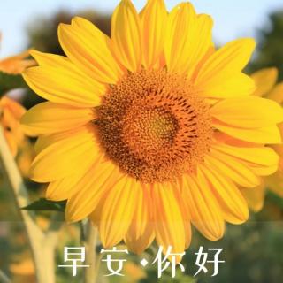 早安语：公平