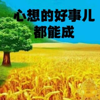 春天的冥想聚能成光