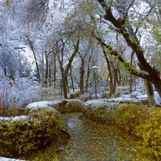 《初雪》李炳智