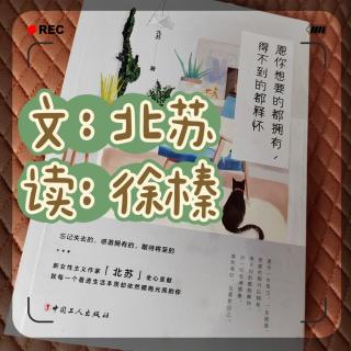 1.你不认真生活，生活就会糊弄你（北苏•愿你…）