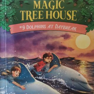 MAGIC TREE HOUSE DOLPHINS AT DAYBREAK
