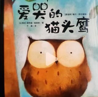 爱哭的猫头鹰🦉