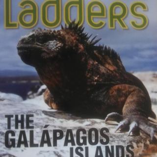 Feb.11th  Kyle2  The Aalapagos Islands  Day 1