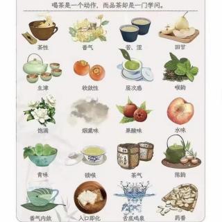 周轶说茶：什么是白茶？