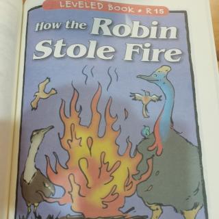 How the Robin stole fire