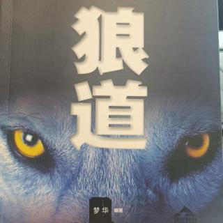 2.2、面对压力，🐺的头昂得更高