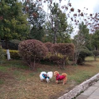 《有一种躺平叫另寻赛道》作者：郭友娣