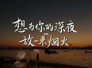 《想为你的深夜放一束烟火》- 序言