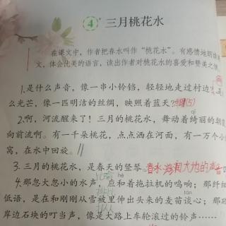 《三月桃花水》