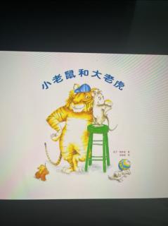 《小老鼠和大老虎🐯》