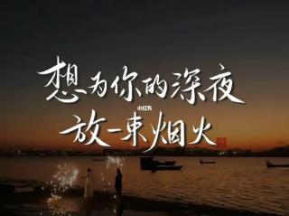 《想为你的深夜放一束烟火》- 你快乐吗？