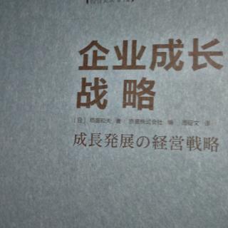 企业成长战略268-278