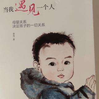 《当我遇见一个人》第三部分关系:童年关系模式决定未来模式之四