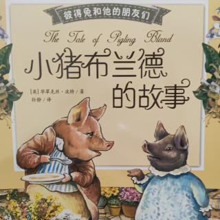 彼得兔和他的朋友们《小猪布兰德》