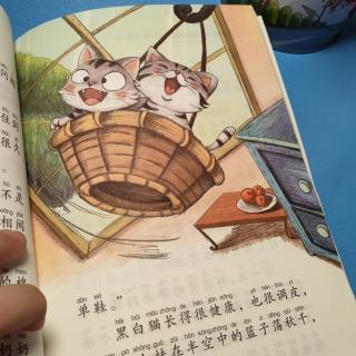 住在楼上的猫🐱