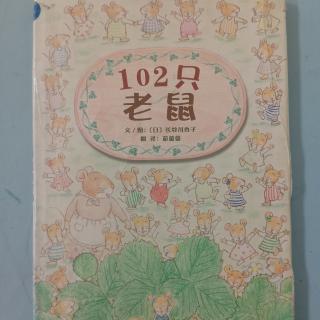 102只老鼠