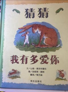 猜猜我有多爱你